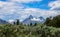 Beartooth Mountain Looms Over Wyoming on Summer Day