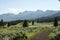 Beartooth Mountains Loom Above Wide Trail