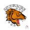 Beast bear face from the side view with bared teeth. Logo for any sport team grizzlies isolated on white