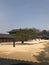 Beatiful Changdeokgung Palace ground, Seoul South Korea