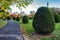 Beatiful clipped bush and colorful trees in fall season in Boston Garden