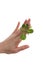 Beatiful Female Hand Holding Lettuce