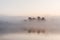 Beatiful Fog winter landscape at lake with tree