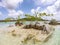 Beatiful landscape of clear water and sparse mangroves at a river feeding into the Bacalar lagoon