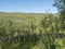 Beatiful northern landscape artic landscape, tundra in Swedish Lapland with green hills, meadow and birch trees at