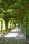 Beatiful park in Schoenbrunn, Vienna