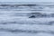 Beatiful seascape background, rock in the Irish Sea at Seascale, Cumbria, England, UK