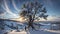 Beatiful sky, giant tree in center, landscape, Human near a tree