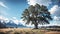 Beatiful sky, giant tree in center, landscape, Human near a tree