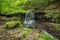 Beatiful waterfall in spring forest. Carpathian, Ukraine.