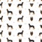 Beauceron seamless pattern. Different coat colors and poses set