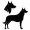 Beauceron shepherd dog black vector silhouette design set