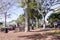 A Beaufort South Carolina city park with large trees and seating areas