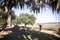 Beaufort South Carolina - spanish moss hangs in foreground as a woman jumps in the background