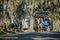 Beaufort, South Carolina tourists sightseeing on a horse-drawn carriage ride under Spanish moss covered trees