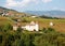 Beaujolais vineyard, France