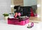 Beautician case with professional makeup products