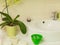 Beautician desk, bowl with mask, sink and flower