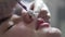 Beautician doctor makes botox injection in the lips of young beautiful woman. Extreme close up 4k shot