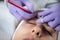 Beautician microblading eyebrows. Professional eyebrow microblading at beauty salon