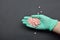 Beauticians hand with green glove holding pink disposable wax on