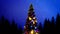 beautified new year pine and night woods - conceptual nature 3D rendering