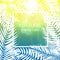 Beautifil Palm Tree Leaf Silhouette Background Vector Illustrat
