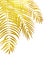 Beautifil Palm Tree Leaf Silhouette Background Vector Illustrat