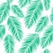 Beautifil Palm Tree Leaf Silhouette Seamless Pattern Background Vector Illustration