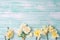 Beautifil spring yellow narcissus on turquoise painted wooden pl