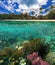 Beautifiul underwater colorful coral reefs