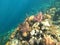 Beautifiul underwater colorful coral reefs