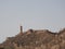 Beautifoul Amber Fort near Jaipur city in India. Rajasthan