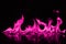 Beautifu pink fire flames on a black background.