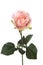 Beautifu pink rose, artificial flower