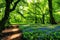 Beautiful 3D Nature and landscape wallpaper, green environment, ambient forest, generative ai