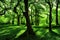 Beautiful 3D Nature and landscape wallpaper, green environment, ambient forest, generative ai