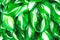Beautiful above picture of the fresh leaves, green and white plant background.