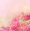 Beautiful abstract floral background