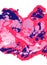 Beautiful abstract liquid paint background. Acrylic painting. Marble texture. Mixed cold red, lilac pink, navy blue