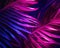 The beautiful and abstract palm leaves have neon colors.