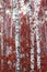 Beautiful abstract scene with birches in red autumn birch forest in october among other birches