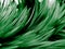 Beautiful abstract white and green feathers on drak background and soft white feather texture on white pattern and green backgroun