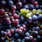 Beautiful abundant grapes on the vine - ai generated image