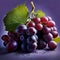 Beautiful abundant grapes on the vine - ai generated image