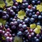 Beautiful abundant grapes on the vine - ai generated image