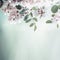 Beautiful acacia blossom on blurred nature