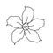 Beautiful Adenium Flower Line Art. One Line Artwork, Minimalist Contour Drawing - Vector