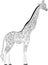 Beautiful adult Giraffe. Hand drawn Illustration of ornamental giraffe. isolated giraffe on white background. The head of an orna