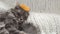 Beautiful adult grey cat sleeping in yellow knitted crown on hand made plaid close up